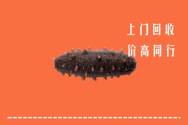 高价求购：茄子河区回收海参